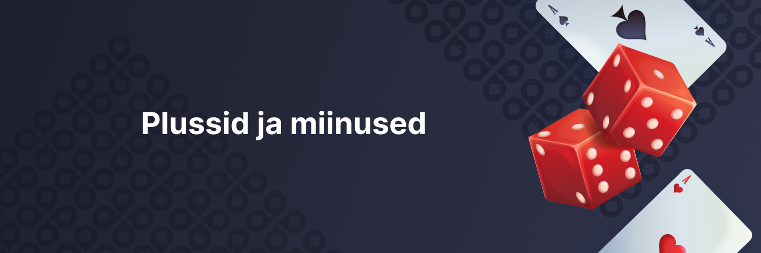 Plussid ja miinused- banner