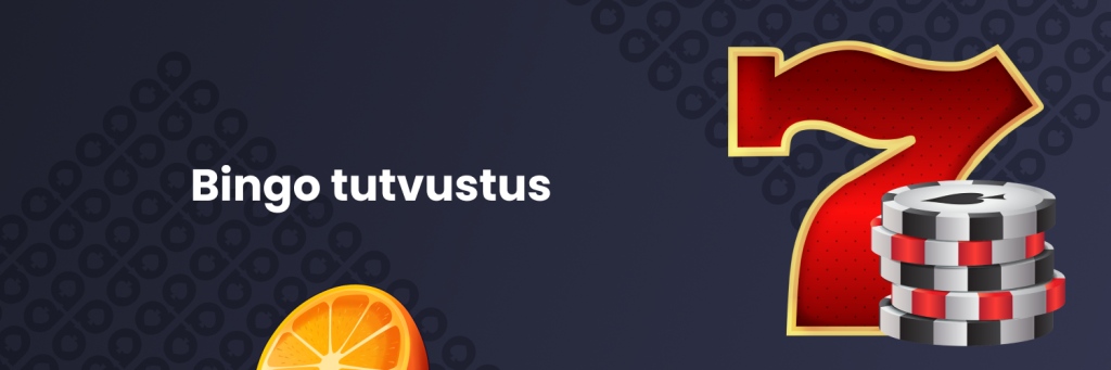 Bingo tutvustus